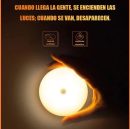 Motion Sensor Light